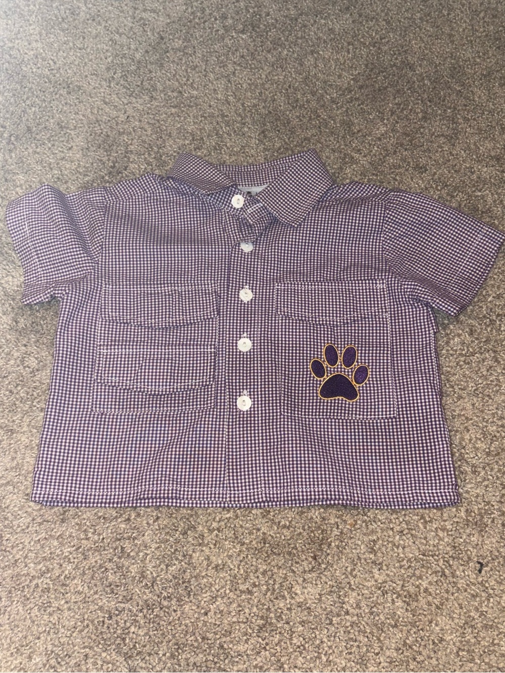 Kids Purple Gingham Short-Sleeve Button-Down Shirt with Paw Patch